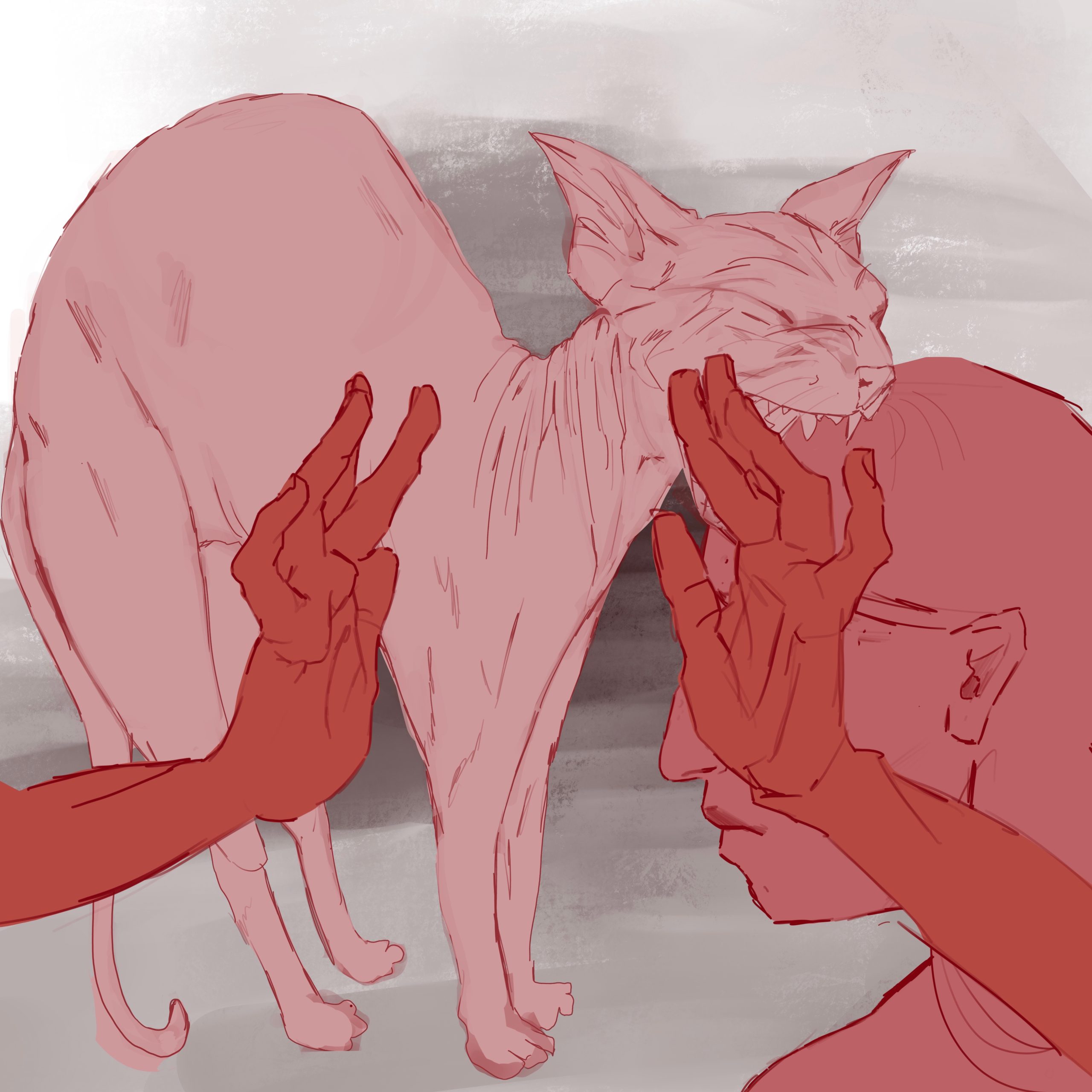 WIP – Cat
